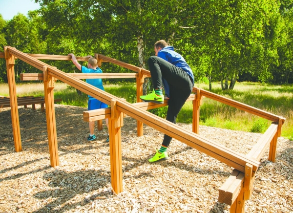 Лесенка sklz. Препятствия в лесу. Учебно-тренировочный комплекс полоса препятствий. Препятствие используется для воспитания. Спортивные площадки для школы полоса препятствия.