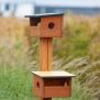Miniaturka Bird feeder (11)